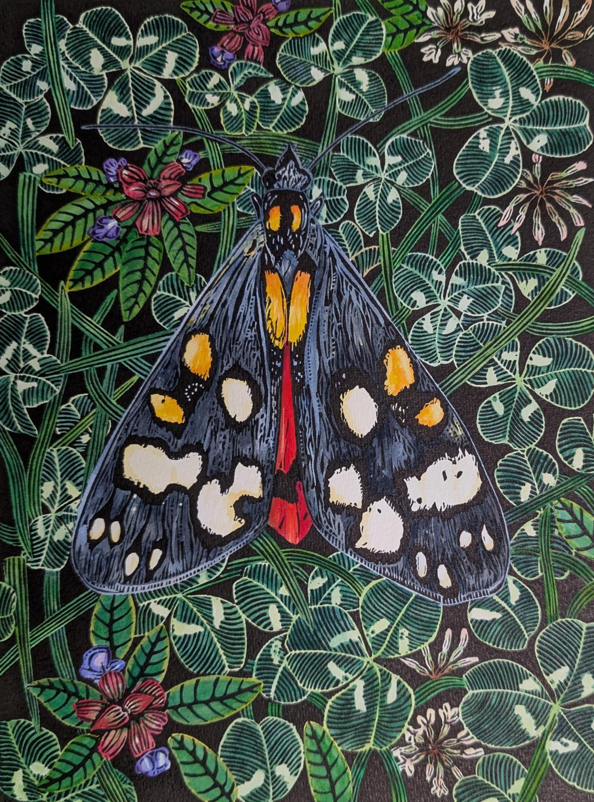 Scarlet Tiger